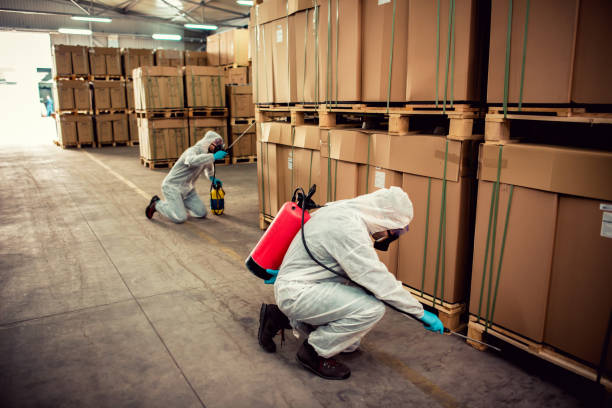 Best Best Pest Control Companies  in Jonesville, VA