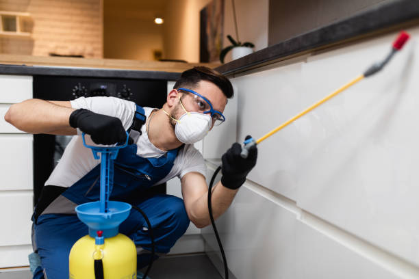 Best Local Pest Control Services  in Jonesville, VA