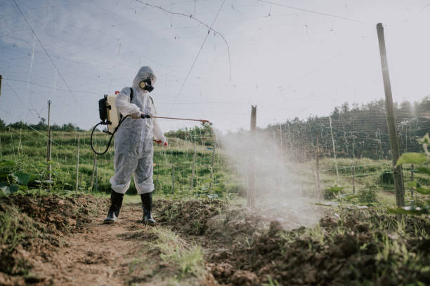 Best Pest Removal Services  in Jonesville, VA