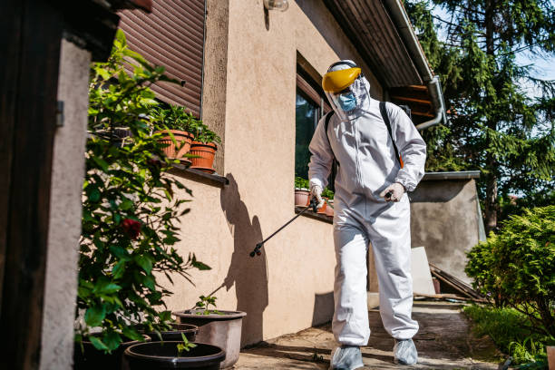 Best Flea Control Services  in Jonesville, VA