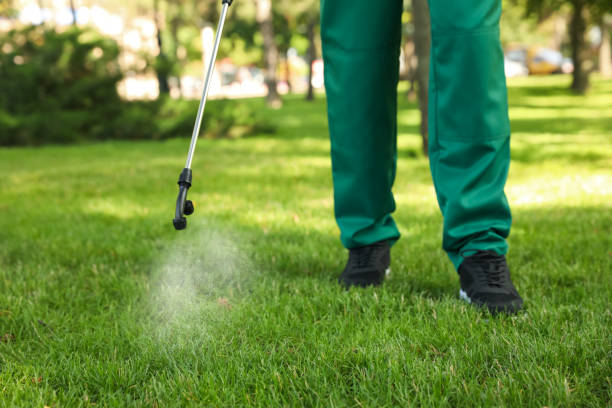 Best Ant Control Services  in Jonesville, VA
