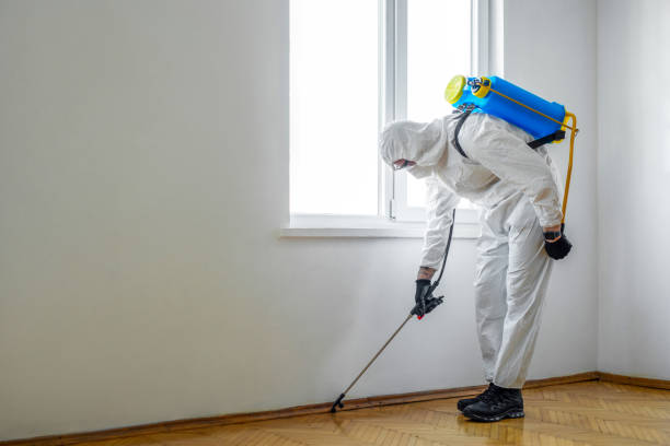 Pest Control for Restaurants in Jonesville, VA