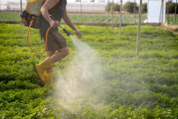 Best Residential Pest Control  in Jonesville, VA
