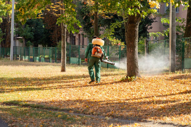 Best Insect Control  in Jonesville, VA