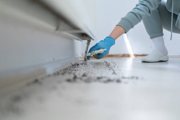 Reliable Jonesville, VA Pest Control Solutions