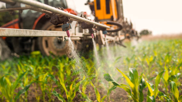 Insect Control in Jonesville, VA